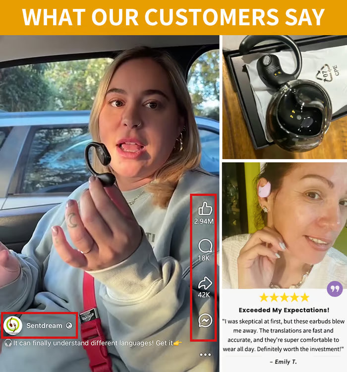 AI Translation Earphones (Fit iOS & Android)