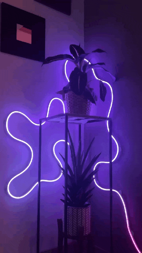 NeonGlow Smart Rope Strip Light with Music Syncing (5 Meters)